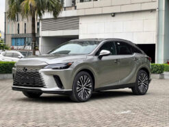 Lexus RX 350 Premium Lăn Bánh Tại TP Hồ Chí Minh
