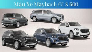 Màu Xe Mercedes-Maybach GLS 600 4Matic